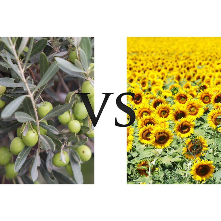 DIFERENCIAS ENTRE ACEITE DE OLIVA Y GIRASOL